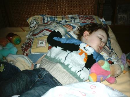 Un gros dodo
