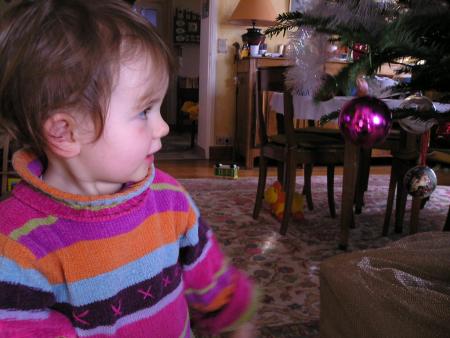 Le sapin