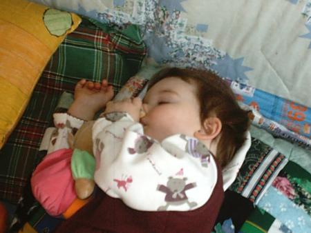 Gros dodo