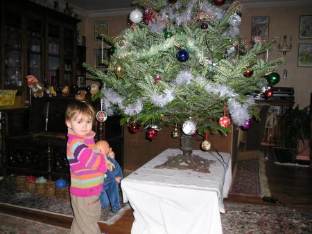 Le sapin