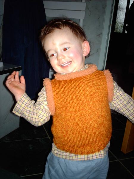 Le pull