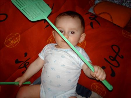 Tueur de mouches