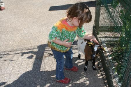 Les animaux