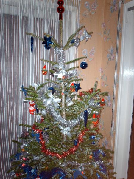 Le sapin de noël